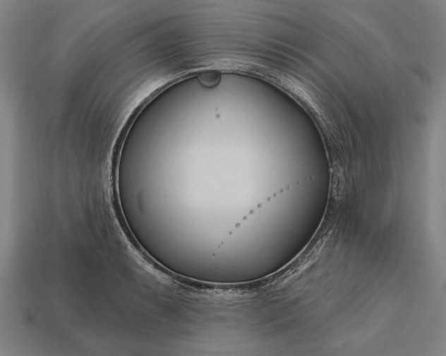 X0000113131087200909181704