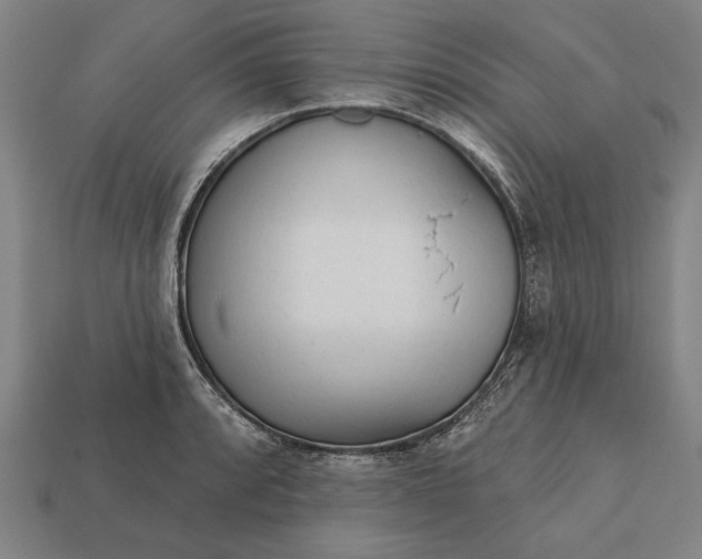 X0000113131088200909181704