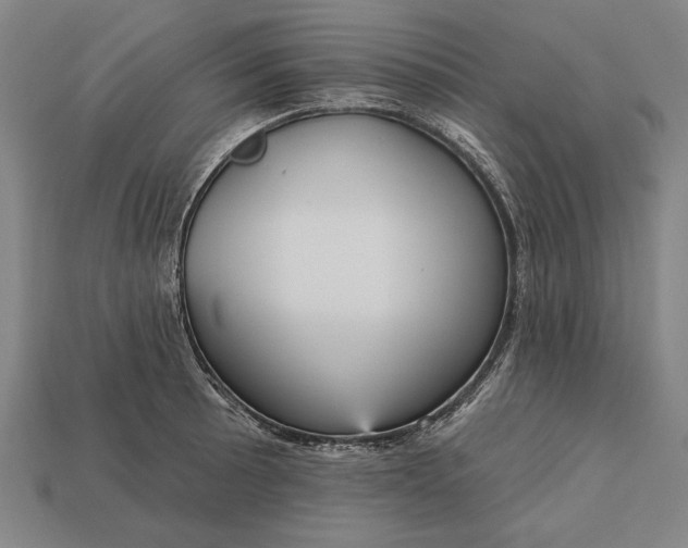 X0000113131089200909181704