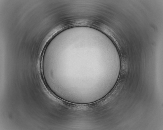 X0000113131090200909181704