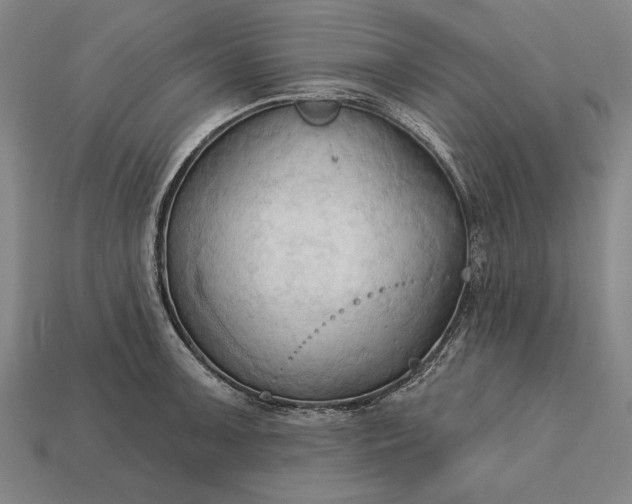 X0000113131091200909181704