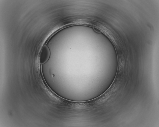 X0000113131092200909181704