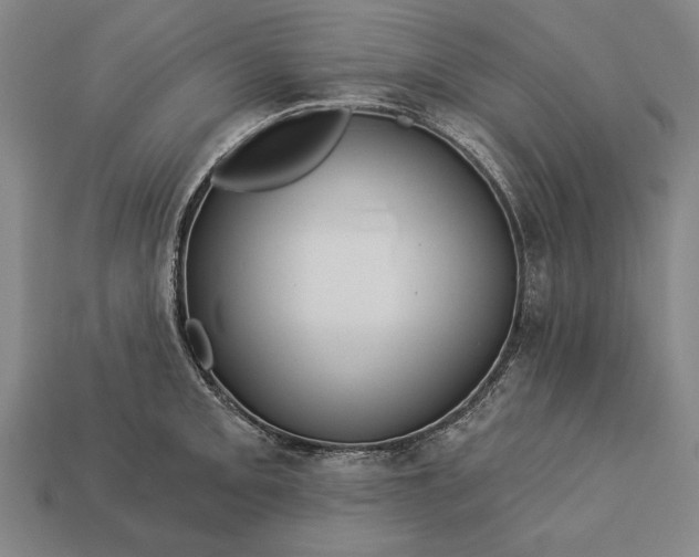 X0000113131093200909181704