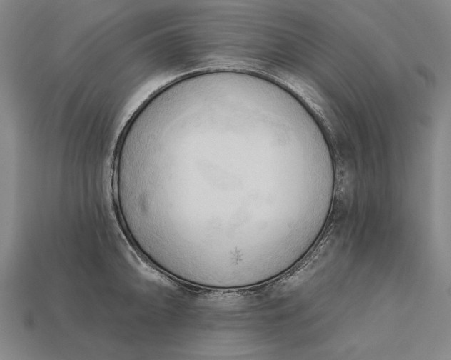 X0000113131094200909181704