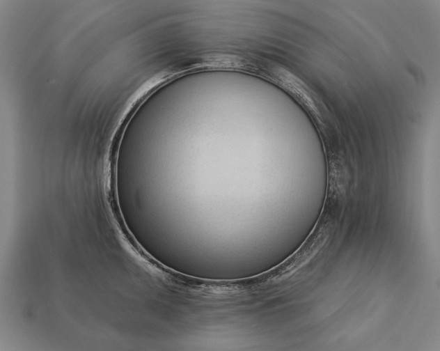 X0000113131095200909181704