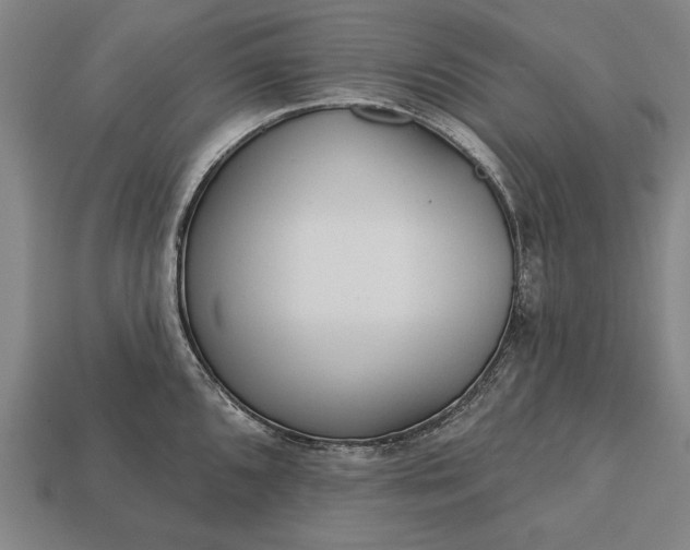 X0000113131096200909181704