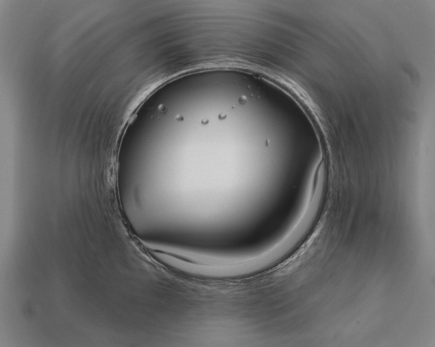 X0000113131097200909181704