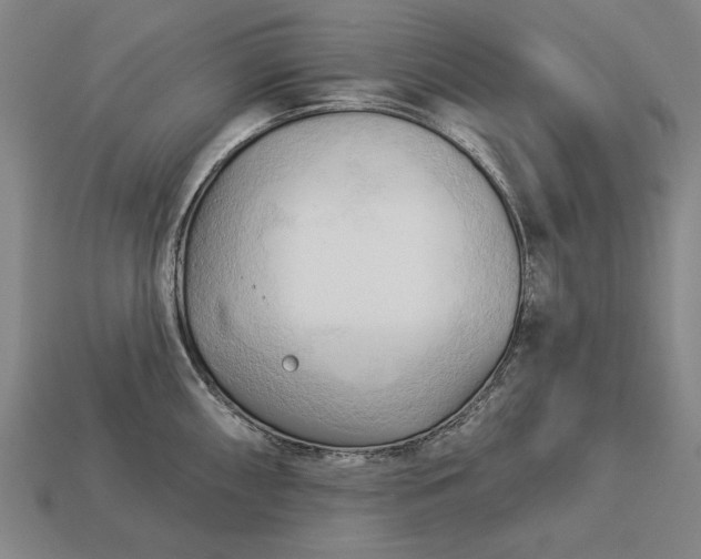 X0000113131098200909181704