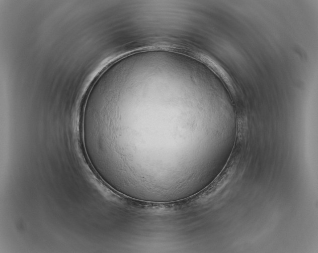 X0000113131099200909181704