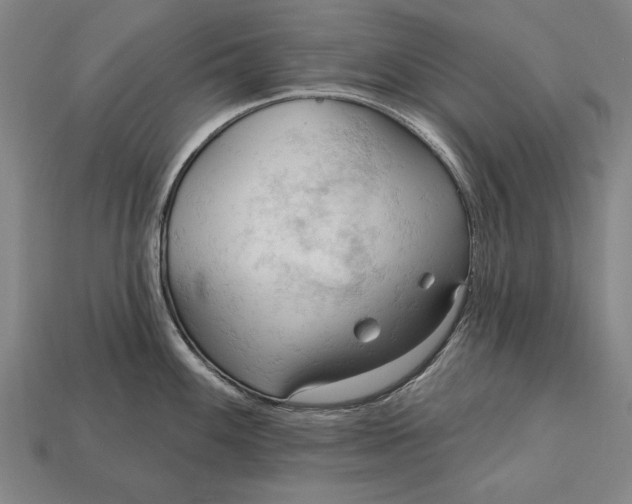 X0000113131100200909181704