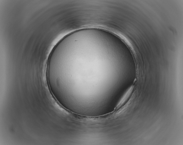 X0000113131102200909181704