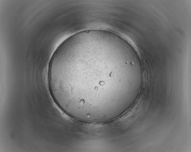 X0000113131103200909181704