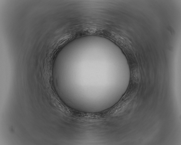 X0000113131105200909181704