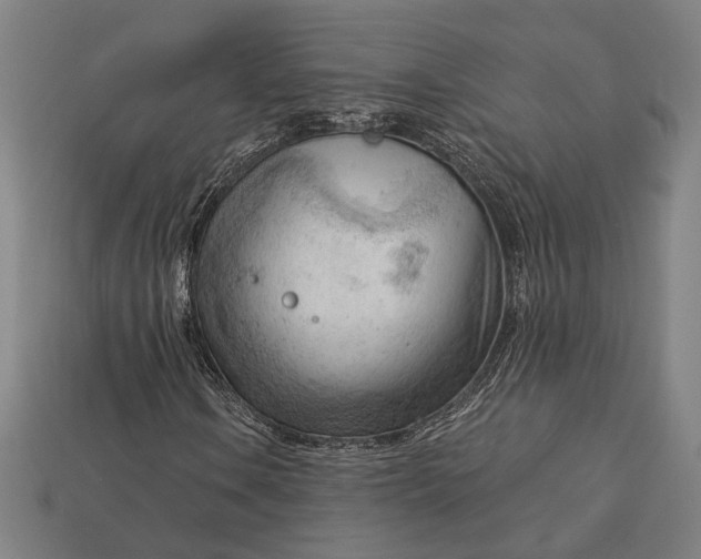 X0000113131106200909181704