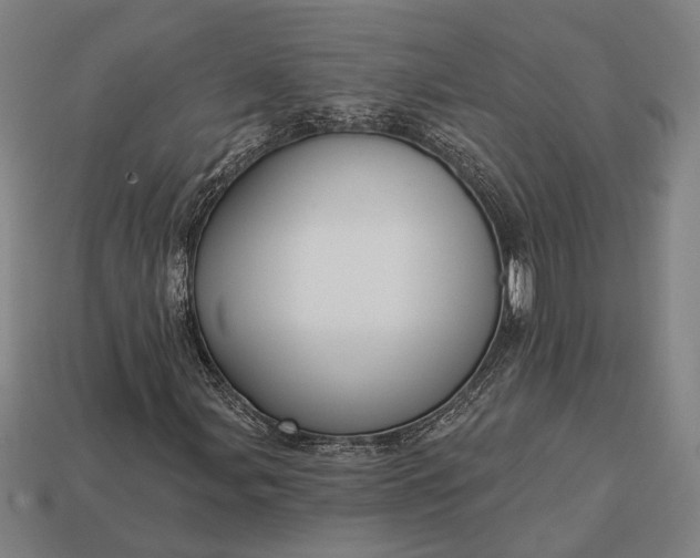 X0000113131107200909181704