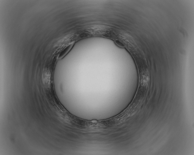 X0000113131108200909181704