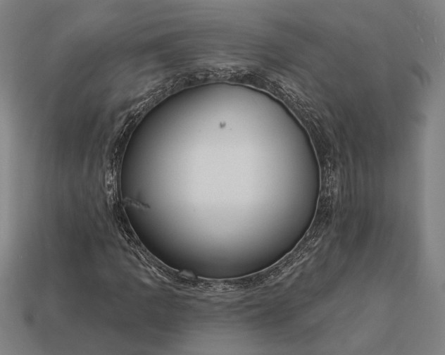 X0000113131109200909181704