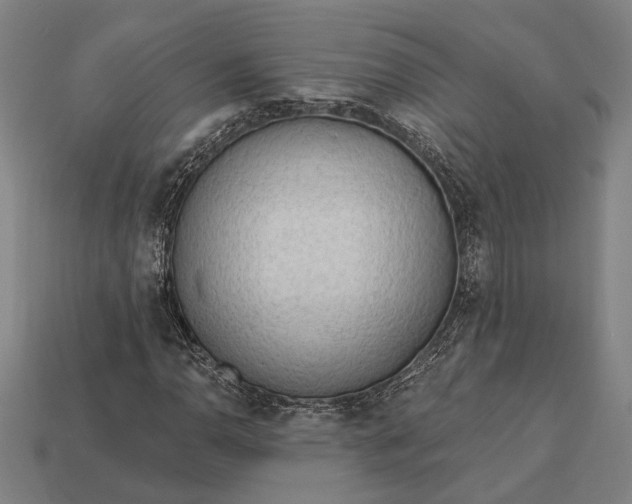 X0000113131110200909181704