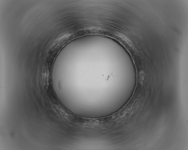 X0000113131111200909181704