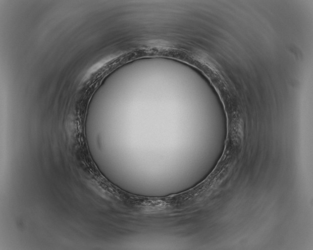 X0000113131112200909181704