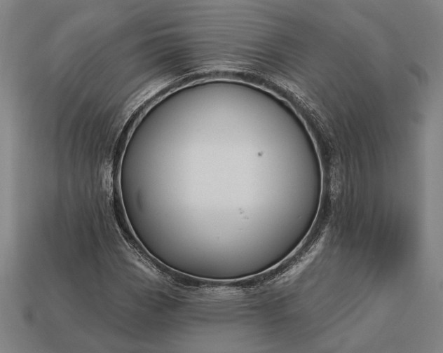 X0000113131113200909181704