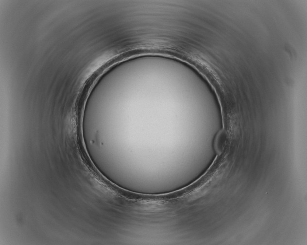 X0000113131114200909181704