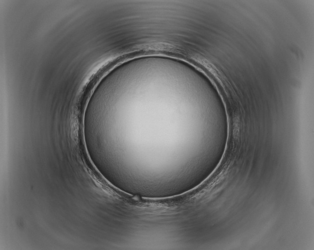 X0000113131115200909181704