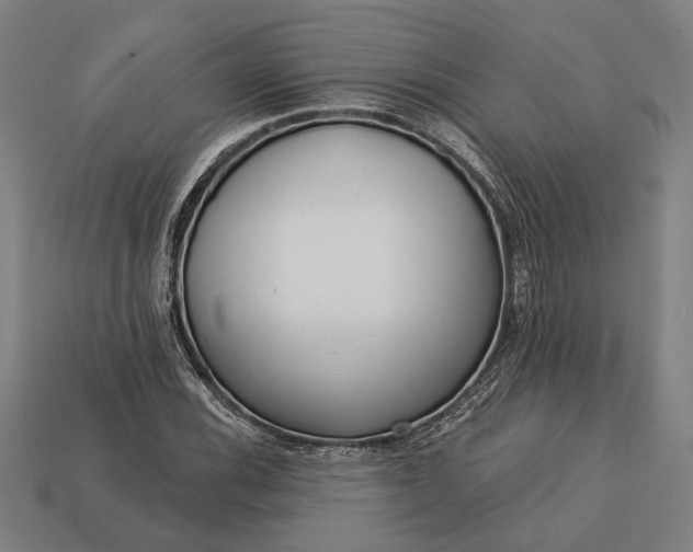 X0000113131116200909181704