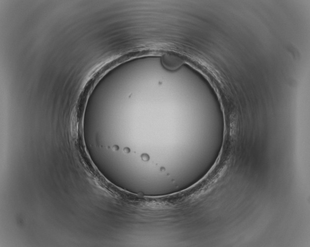 X0000113131117200909181704