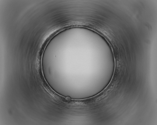 X0000113131119200909181704