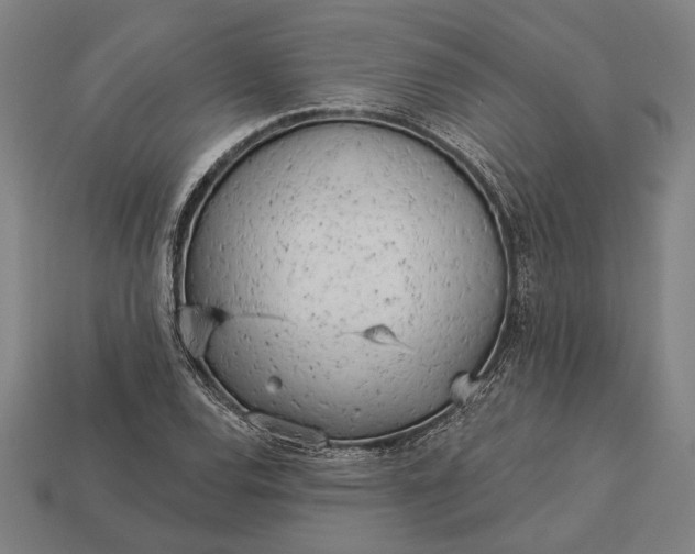 X0000113131120200909181704