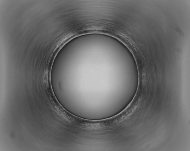 X0000113131121200909181704