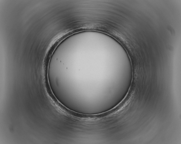 X0000113131122200909181704