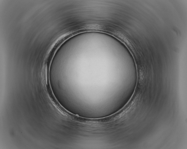 X0000113131123200909181704