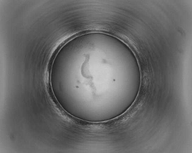 X0000113131125200909181704