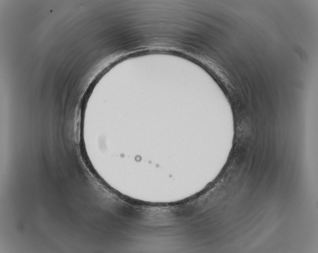 X0000113131126200909181704