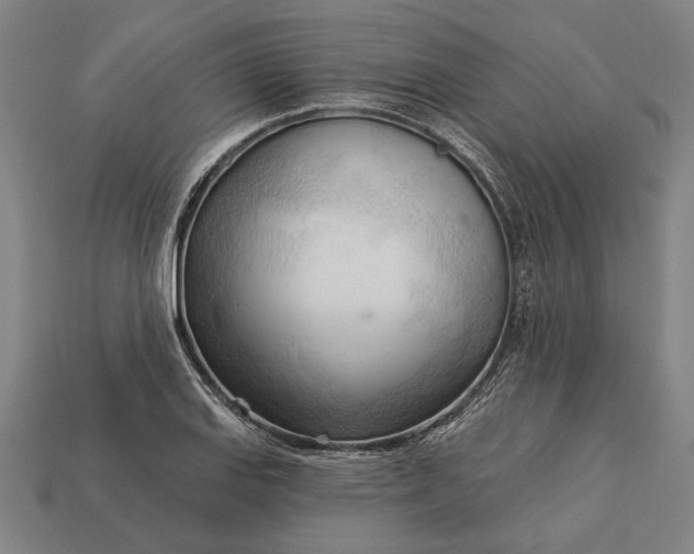 X0000113131127200909181704