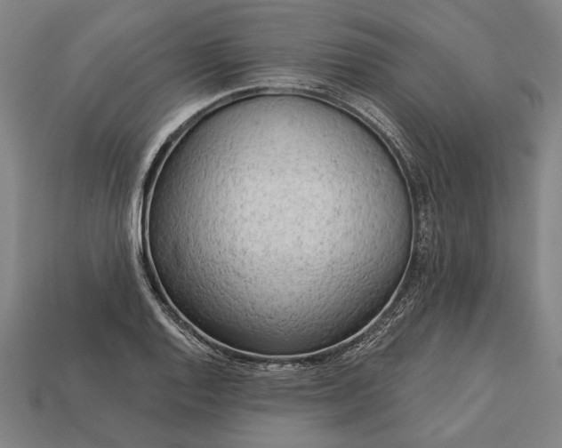 X0000113131128200909181704