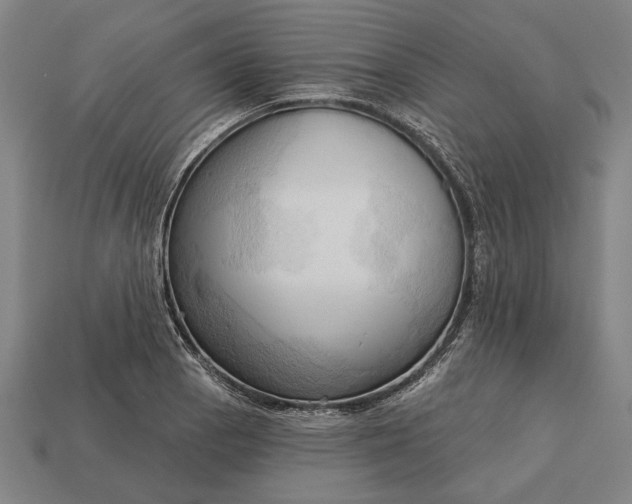 X0000113131129200909181704