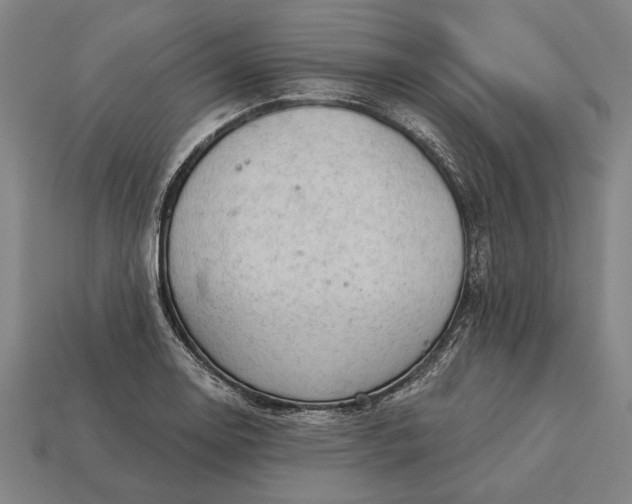 X0000113131130200909181704