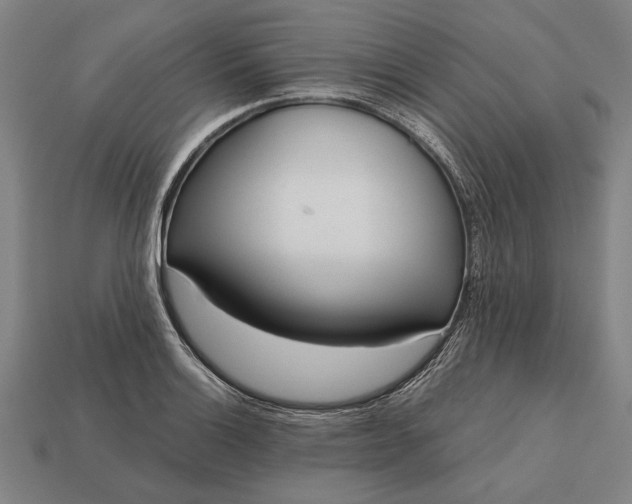 X0000113131132200909181704