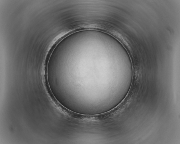 X0000113131133200909181704