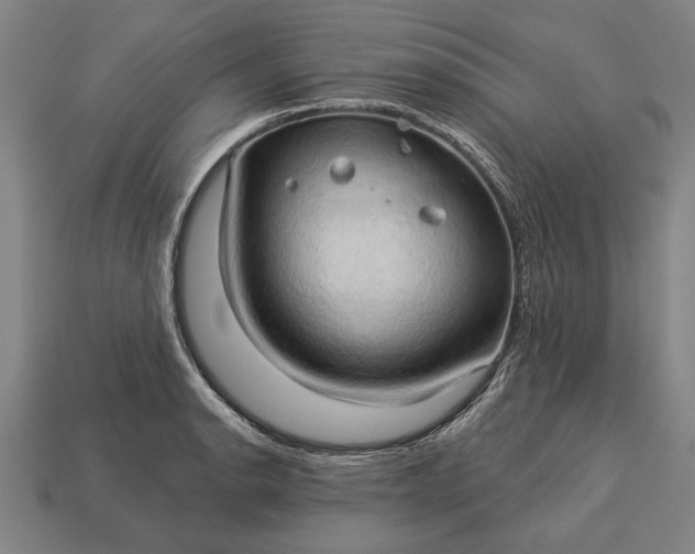 X0000113131134200909181704