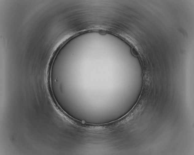 X0000113131135200909181704