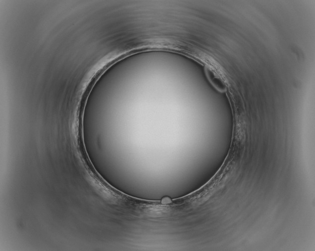 X0000113131136200909181704