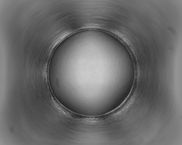 X0000113131137200909181704