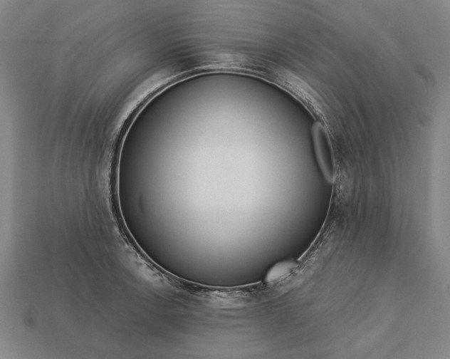 X0000113131138200909181704