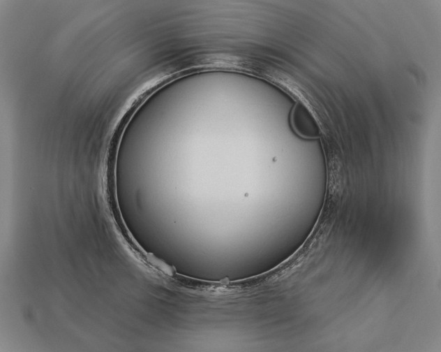 X0000113131139200909181704