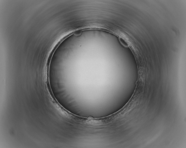 X0000113131140200909181704