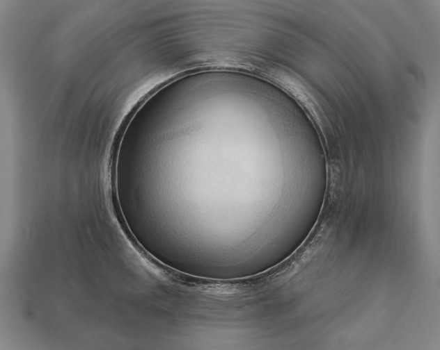 X0000113131141200909181704